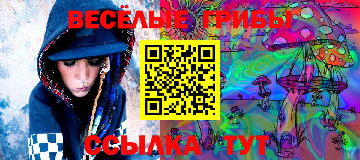 Галлюциногенные грибы Psilocybe Калач-на-Дону